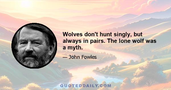 Wolves don't hunt singly, but always in pairs. The lone wolf was a myth.