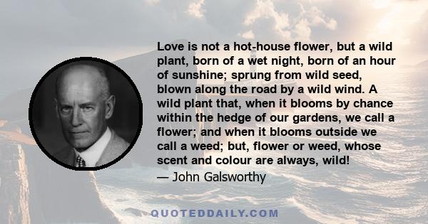 Love is not a hot-house flower, but a wild plant, born of a wet night, born of an hour of sunshine; sprung from wild seed, blown along the road by a wild wind. A wild plant that, when it blooms by chance within the