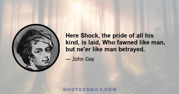 Here Shock, the pride of all his kind, is laid, Who fawned like man, but ne'er like man betrayed.