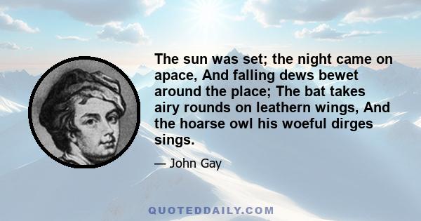 The sun was set; the night came on apace, And falling dews bewet around the place; The bat takes airy rounds on leathern wings, And the hoarse owl his woeful dirges sings.