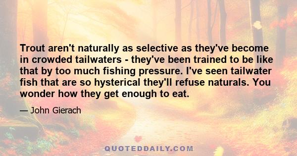 Trout aren't naturally as selective as they've become in crowded tailwaters - they've been trained to be like that by too much fishing pressure. I've seen tailwater fish that are so hysterical they'll refuse naturals.