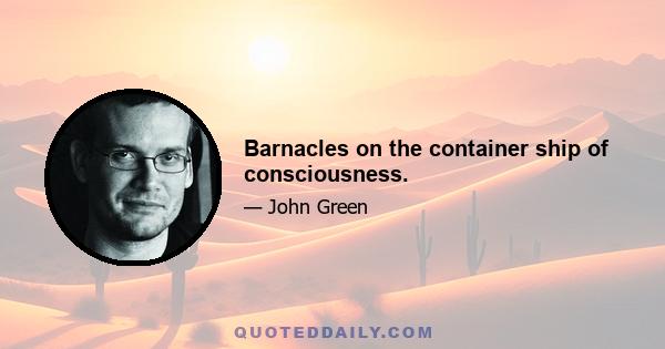 Barnacles on the container ship of consciousness.