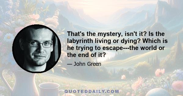 That's the mystery, isn't it? Is the labyrinth living or dying? Which is he trying to escape---the world or the end of it?