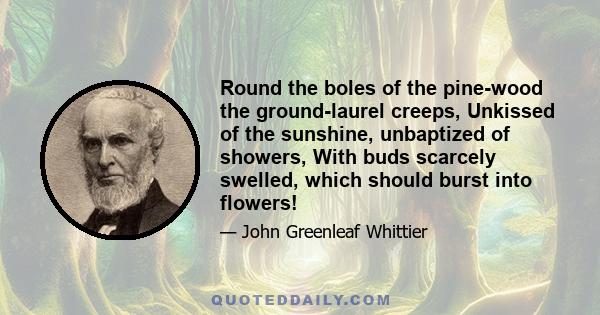 Round the boles of the pine-wood the ground-laurel creeps, Unkissed of the sunshine, unbaptized of showers, With buds scarcely swelled, which should burst into flowers!