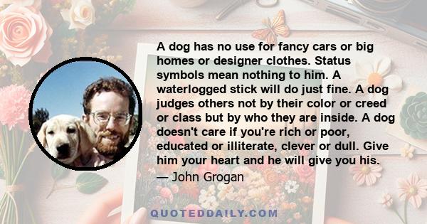 A dog has no use for fancy cars or big homes or designer clothes. Status symbols mean nothing to him. A waterlogged stick will do just fine. A dog judges others not by their color or creed or class but by who they are