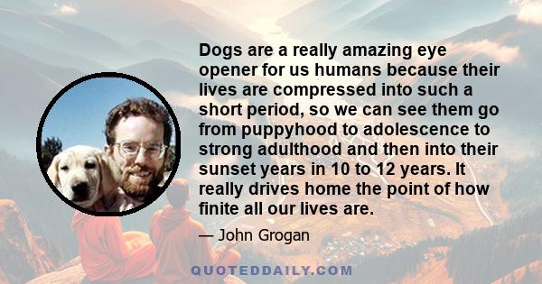 Dogs are a really amazing eye opener for us humans because their lives are compressed into such a short period, so we can see them go from puppyhood to adolescence to strong adulthood and then into their sunset years in 