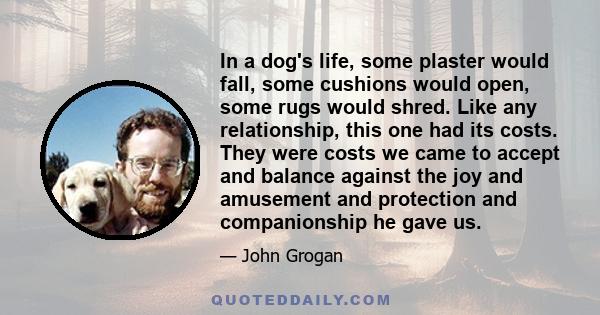 In a dog's life, some plaster would fall, some cushions would open, some rugs would shred. Like any relationship, this one had its costs. They were costs we came to accept and balance against the joy and amusement and