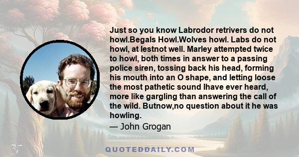 Just so you know Labrodor retrivers do not howl.Begals Howl.Wolves howl. Labs do not howl, at lestnot well. Marley attempted twice to howl, both times in answer to a passing police siren, tossing back his head, forming