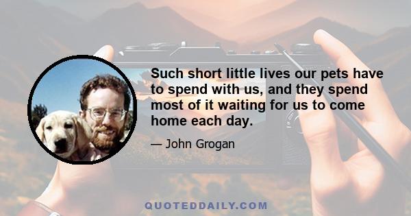 Such short little lives our pets have to spend with us, and they spend most of it waiting for us to come home each day. It is amazing how much love and laughter they bring into our lives and even how much closer we