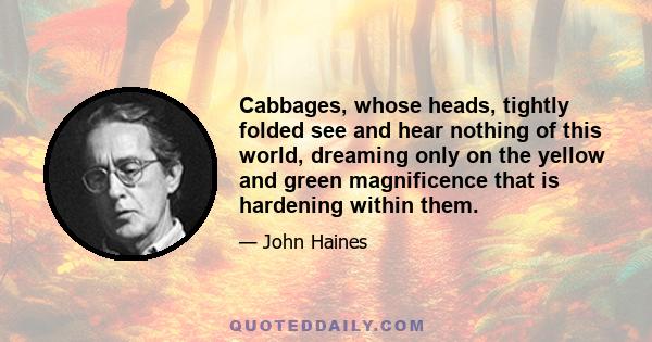 Cabbages, whose heads, tightly folded see and hear nothing of this world, dreaming only on the yellow and green magnificence that is hardening within them.