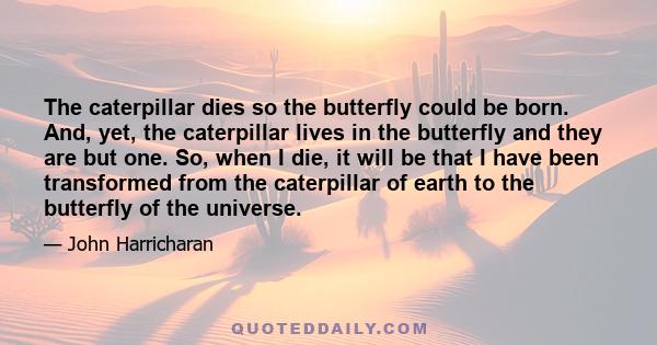 The caterpillar dies so the butterfly could be born. And, yet, the caterpillar lives in the butterfly and they are but one. So, when I die, it will be that I have been transformed from the caterpillar of earth to the