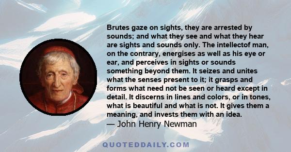 Brutes gaze on sights, they are arrested by sounds; and what they see and what they hear are sights and sounds only. The intellectof man, on the contrary, energises as well as his eye or ear, and perceives in sights or