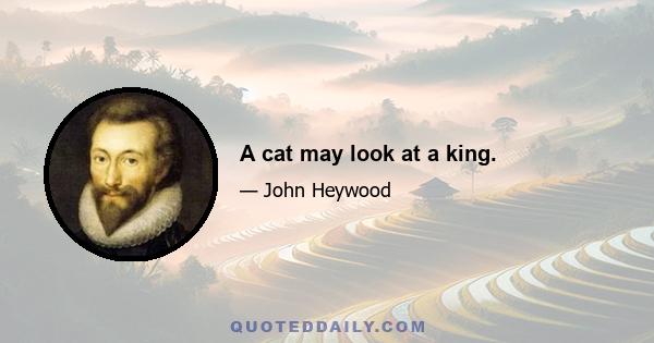 A cat may look at a king.