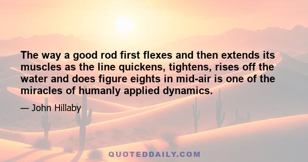 The way a good rod first flexes and then extends its muscles as the line quickens, tightens, rises off the water and does figure eights in mid-air is one of the miracles of humanly applied dynamics.