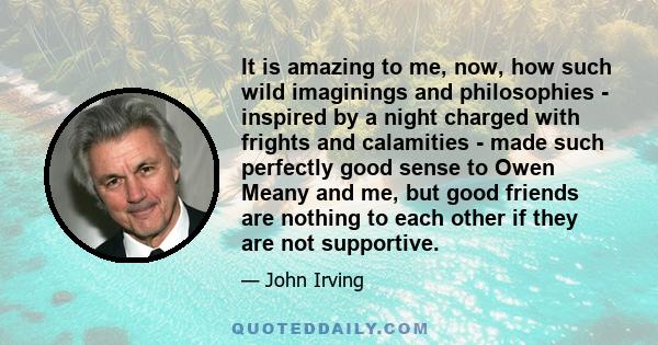 It is amazing to me, now, how such wild imaginings and philosophies - inspired by a night charged with frights and calamities - made such perfectly good sense to Owen Meany and me, but good friends are nothing to each