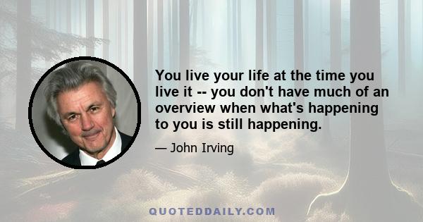 You live your life at the time you live it -- you don't have much of an overview when what's happening to you is still happening.