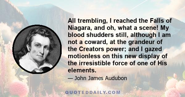 All trembling, I reached the Falls of Niagara, and oh, what a scene! My blood shudders still, although I am not a coward, at the grandeur of the Creators power; and I gazed motionless on this new display of the