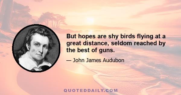 But hopes are shy birds flying at a great distance, seldom reached by the best of guns.