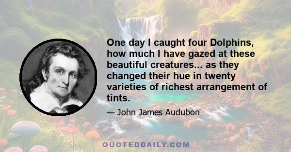 One day I caught four Dolphins, how much I have gazed at these beautiful creatures... as they changed their hue in twenty varieties of richest arrangement of tints.