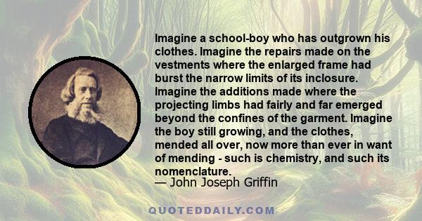 Imagine a school-boy who has outgrown his clothes. Imagine the repairs made on the vestments where the enlarged frame had burst the narrow limits of its inclosure. Imagine the additions made where the projecting limbs