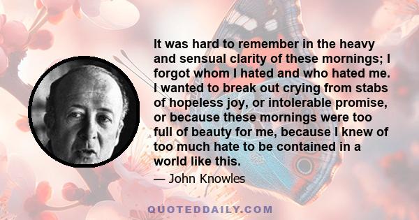 It was hard to remember in the heavy and sensual clarity of these mornings; I forgot whom I hated and who hated me. I wanted to break out crying from stabs of hopeless joy, or intolerable promise, or because these