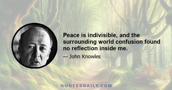 Peace is indivisible, and the surrounding world confusion found no reflection inside me.