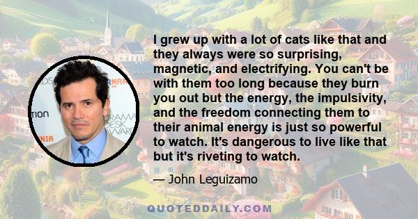 I grew up with a lot of cats like that and they always were so surprising, magnetic, and electrifying. You can't be with them too long because they burn you out but the energy, the impulsivity, and the freedom