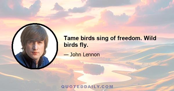 Tame birds sing of freedom. Wild birds fly.