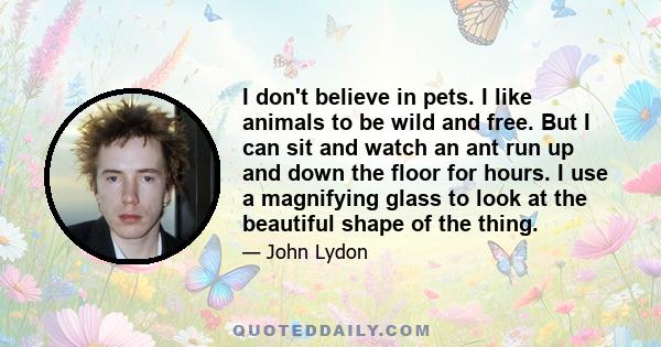 I don't believe in pets. I like animals to be wild and free. But I can sit and watch an ant run up and down the floor for hours. I use a magnifying glass to look at the beautiful shape of the thing.