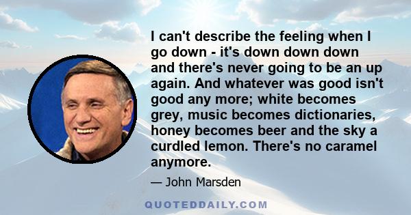 I can't describe the feeling when I go down - it's down down down and there's never going to be an up again. And whatever was good isn't good any more; white becomes grey, music becomes dictionaries, honey becomes beer