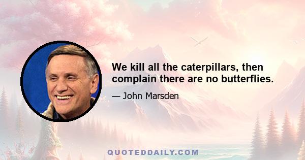 We kill all the caterpillars, then complain there are no butterflies.