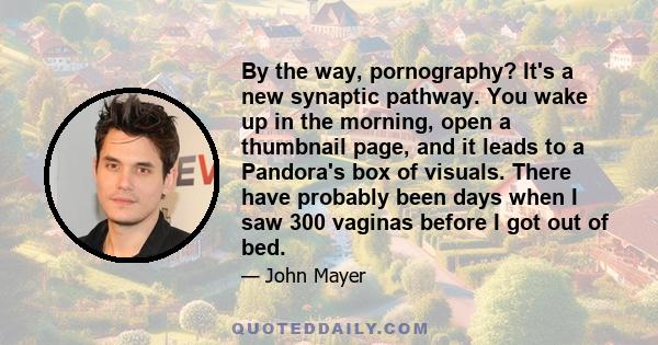 By the way, pornography? It's a new synaptic pathway. You wake up in the morning, open a thumbnail page, and it leads to a Pandora's box of visuals. There have probably been days when I saw 300 vaginas before I got out