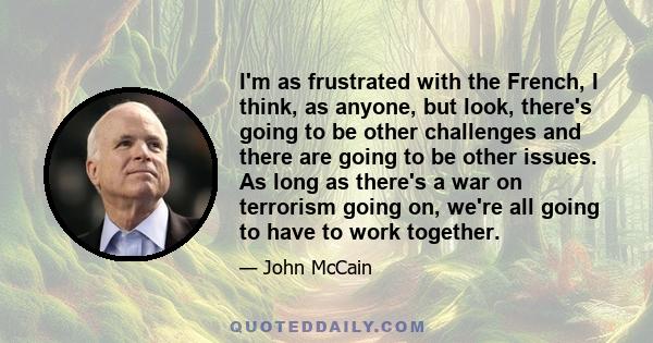 I'm as frustrated with the French, I think, as anyone, but look, there's going to be other challenges and there are going to be other issues. As long as there's a war on terrorism going on, we're all going to have to