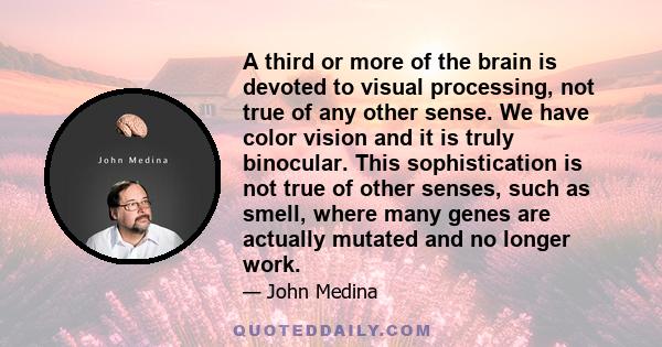 A third or more of the brain is devoted to visual processing, not true of any other sense. We have color vision and it is truly binocular. This sophistication is not true of other senses, such as smell, where many genes 