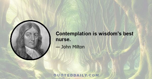 Contemplation is wisdom's best nurse.