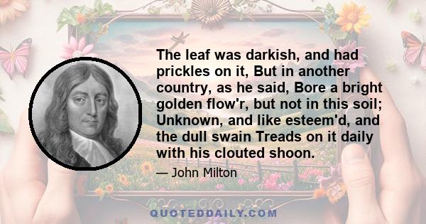 The leaf was darkish, and had prickles on it, But in another country, as he said, Bore a bright golden flow'r, but not in this soil; Unknown, and like esteem'd, and the dull swain Treads on it daily with his clouted