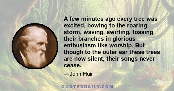 A few minutes ago every tree was excited, bowing to the roaring storm, waving, swirling, tossing their branches in glorious enthusiasm like worship. But though to the outer ear these trees are now silent, their songs