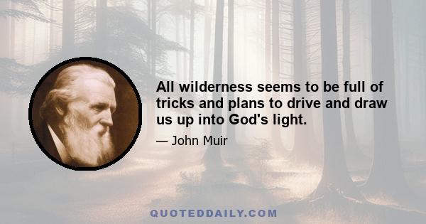 All wilderness seems to be full of tricks and plans to drive and draw us up into God's light.