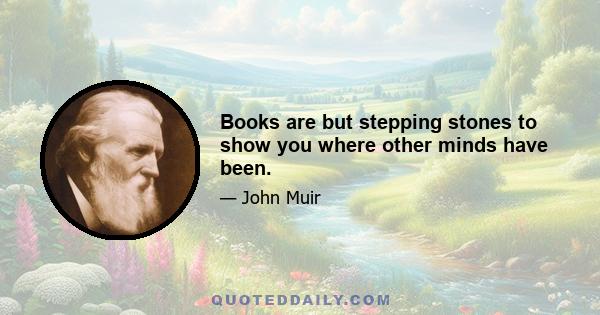 Books are but stepping stones to show you where other minds have been.