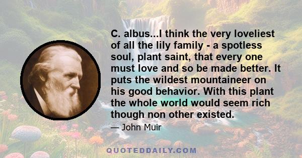 C. albus...I think the very loveliest of all the lily family - a spotless soul, plant saint, that every one must love and so be made better. It puts the wildest mountaineer on his good behavior. With this plant the