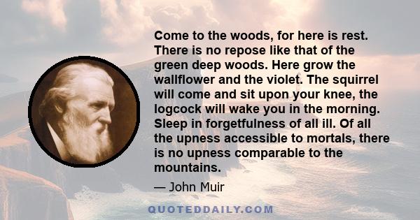 Come to the woods, for here is rest. There is no repose like that of the green deep woods. Here grow the wallflower and the violet. The squirrel will come and sit upon your knee, the logcock will wake you in the