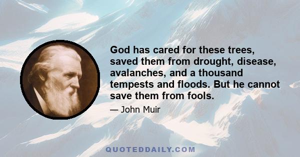 God has cared for these trees, saved them from drought, disease, avalanches, and a thousand tempests and floods. But he cannot save them from fools.