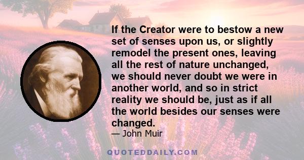 If the Creator were to bestow a new set of senses upon us, or slightly remodel the present ones, leaving all the rest of nature unchanged, we should never doubt we were in another world, and so in strict reality we