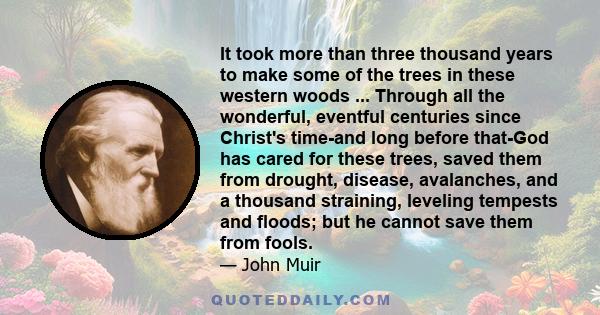 It took more than three thousand years to make some of the trees in these western woods ... Through all the wonderful, eventful centuries since Christ's time-and long before that-God has cared for these trees, saved