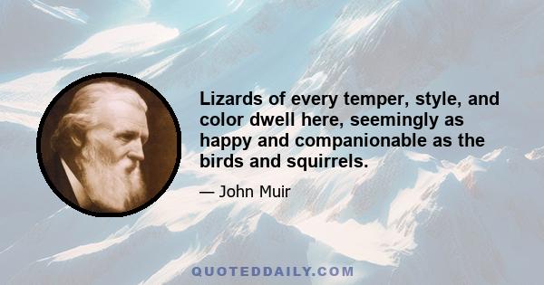 Lizards of every temper, style, and color dwell here, seemingly as happy and companionable as the birds and squirrels.