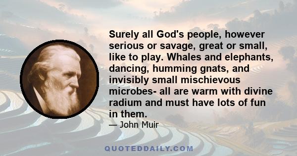 Surely all God's people, however serious or savage, great or small, like to play. Whales and elephants, dancing, humming gnats, and invisibly small mischievous microbes- all are warm with divine radium and must have