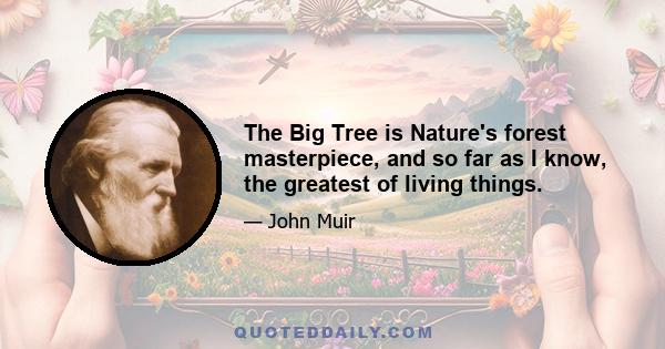 The Big Tree is Nature's forest masterpiece, and so far as I know, the greatest of living things.