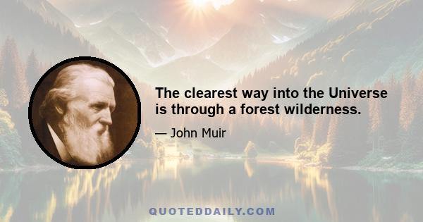 The clearest way into the Universe is through a forest wilderness.