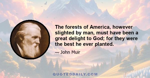 The forests of America, however slighted by man, must have been a great delight to God; for they were the best he ever planted.