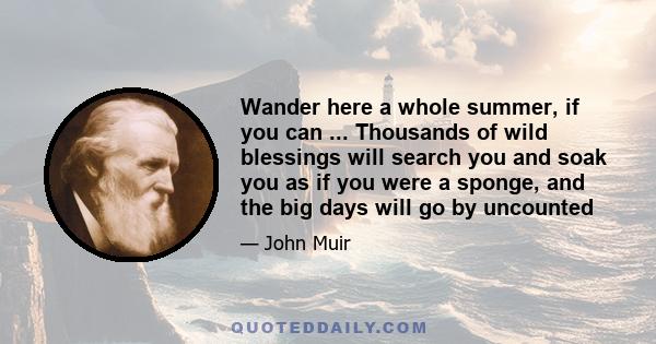 Wander here a whole summer, if you can ... Thousands of wild blessings will search you and soak you as if you were a sponge, and the big days will go by uncounted